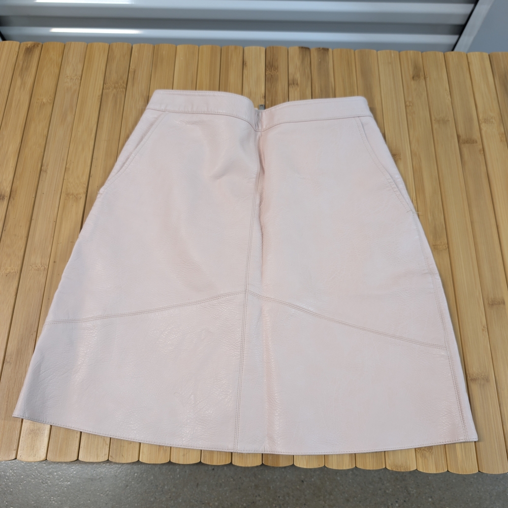 Elegant Pink Women's Skirt
